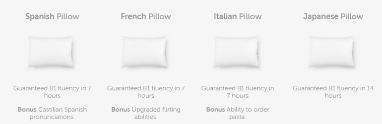 Duolingo Pillow April Fool